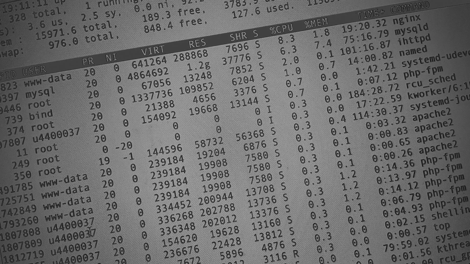 Настройка сервера в Грязях