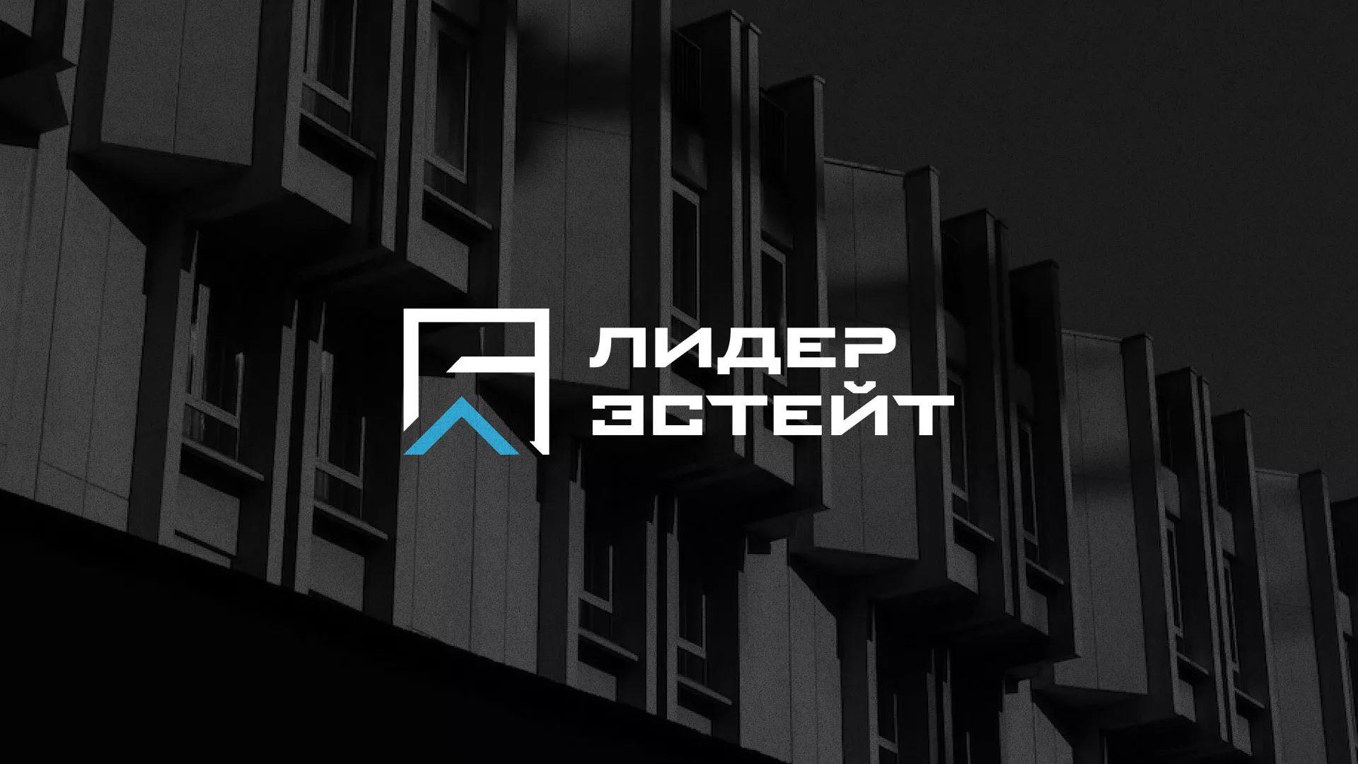 Разработка логотипа агентства недвижимости «Лидер Эстейт» в Грязях
